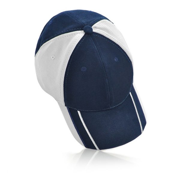 Heavy Cotton Cap