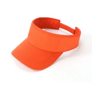 Visors