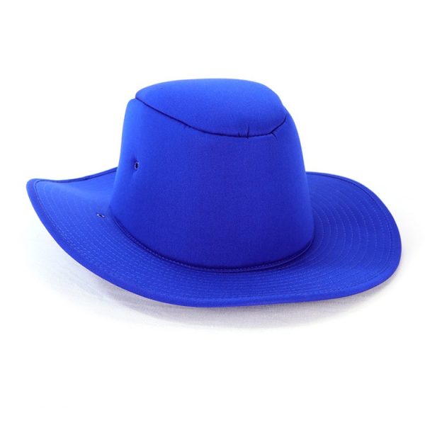 School Hat School Hat