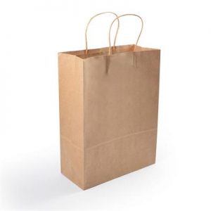 Express Paper Bag Express Paper Bag