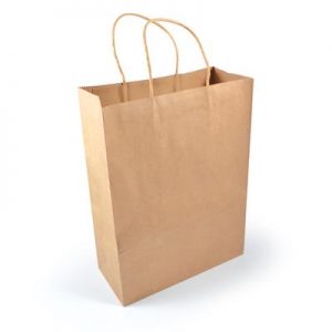 Express Paper Bag Express Paper Bag