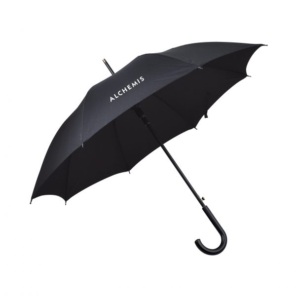 Business Umbrella