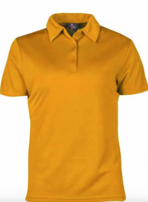 Ladies Polo Shirt Ladies Polo Shirt