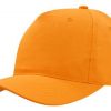 Poly Cap