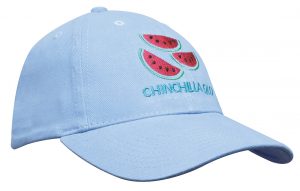 Youth Cap Youth Cap