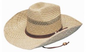 Cowboy Hat Cowboy Hat