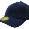Mesh Cap Mesh Cap