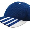 Mesh Cap Mesh Cap