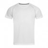 Men's Raglan Sport Shirt Men's Raglan Sport Shirt