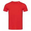 Men's Plain Classic Crew Neck Men's Plain Classic Crew Neck