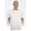 Basic T-Shirt Basic T-Shirt