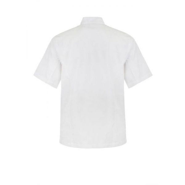 Short Sleeves - Executive Chefs Jacket With Press Studs Short Sleeves - Executive Chefs Jacket With Press Studs