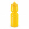 Drinking Bottle