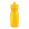 Drinking Bottle