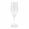Champagne Glass Champagne Glass