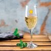 Champagne Glass Champagne Glass