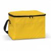 Cooler Bag