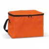 Cooler Bag