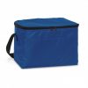 Cooler Bag