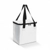 Cooler Bag