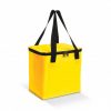 Cooler Bag