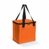Cooler Bag