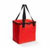 Cooler Bag
