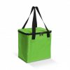 Cooler Bag