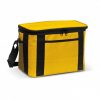 Cooler Bag