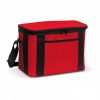 Cooler Bag