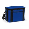 Cooler Bag