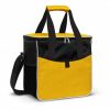 Cooler Bag