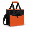 Cooler Bag