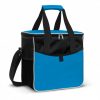 Cooler Bag