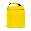 Cooler Bag