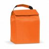 Cooler Bag