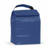 Cooler Bag