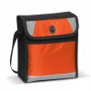 Cooler Bag