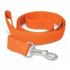 Dog Leash Dog Leash