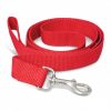 Dog Leash Dog Leash