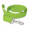 Dog Leash Dog Leash