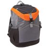 Cooler Bag