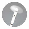 Fan Pen Fan Pen