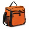Cooler Bag