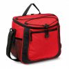 Cooler Bag