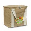 Cooler Bag