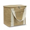 Cooler Bag