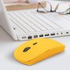 Mouse Mouse