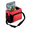 Cooler Bag