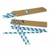 Paper Straws Paper Straws